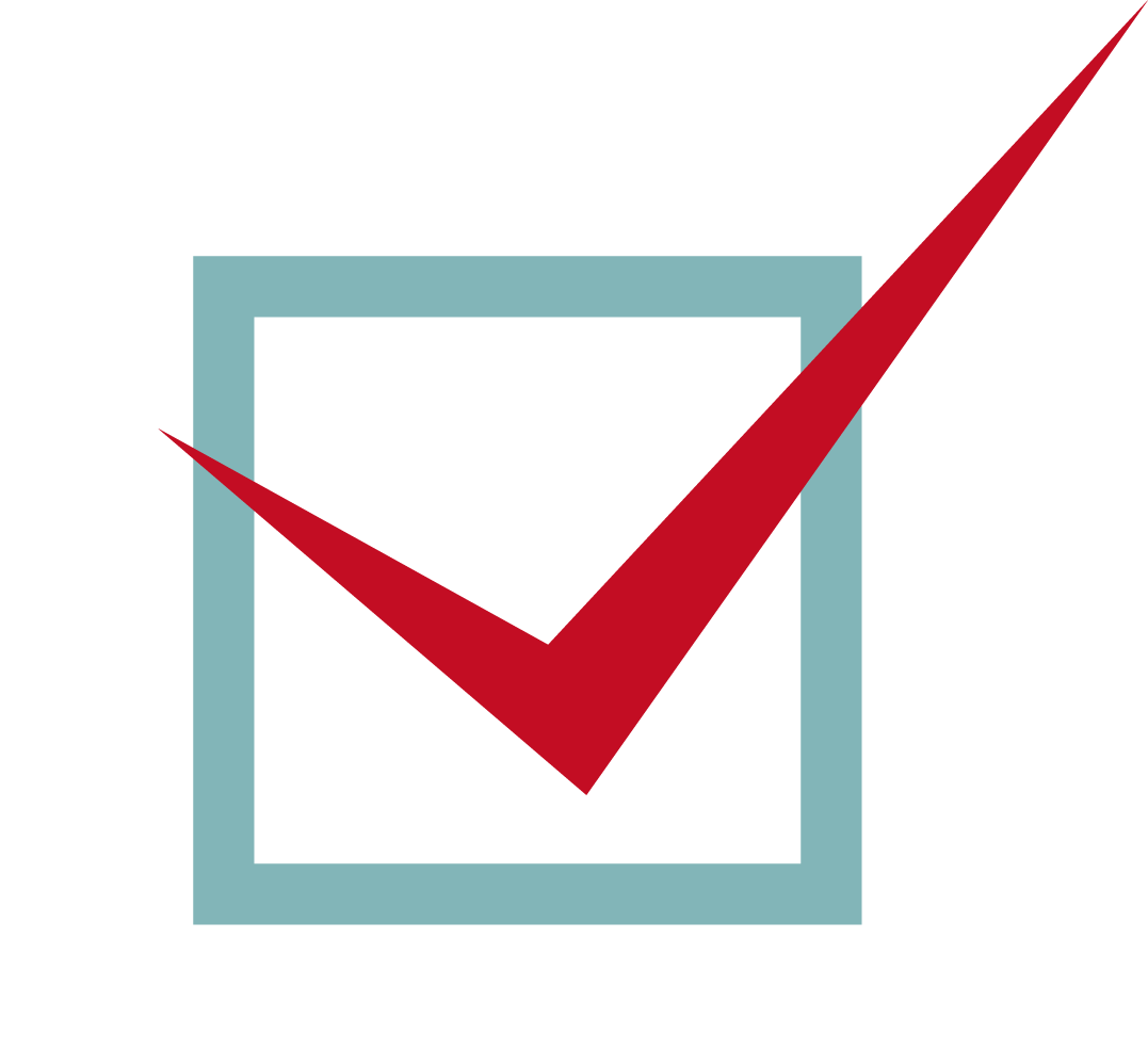 チェックボックス