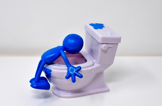 toilet