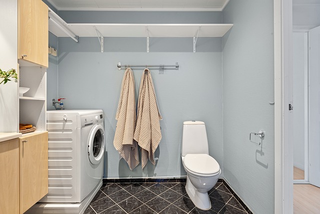 toilet