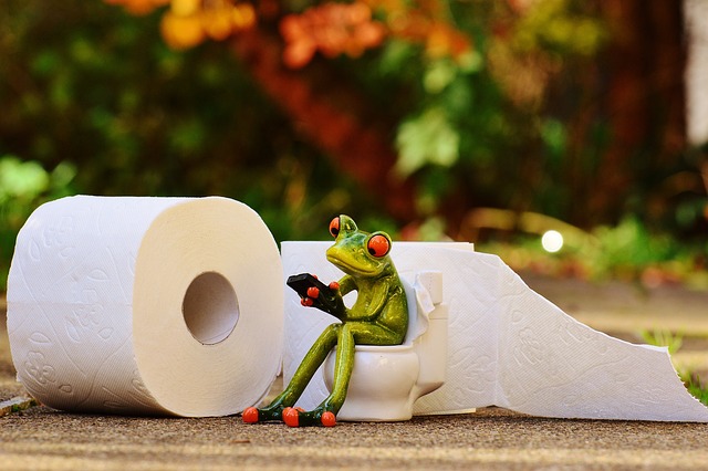 toilets
