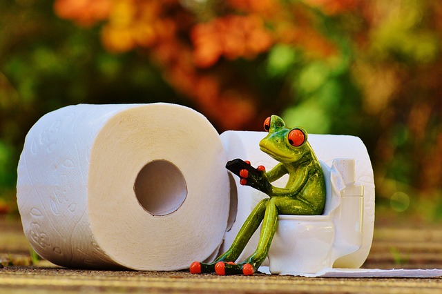 toilet
