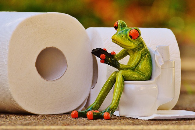 toilet
