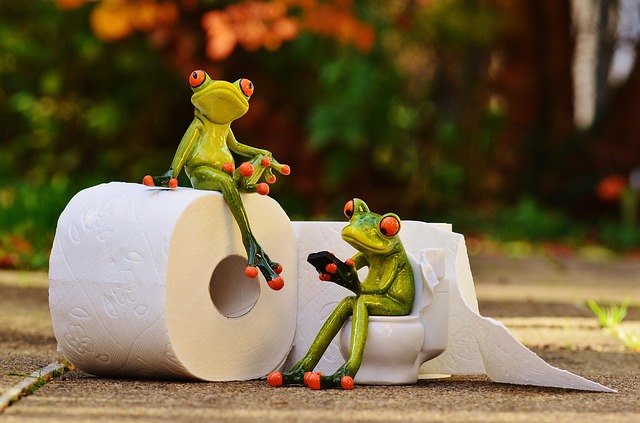 toilet