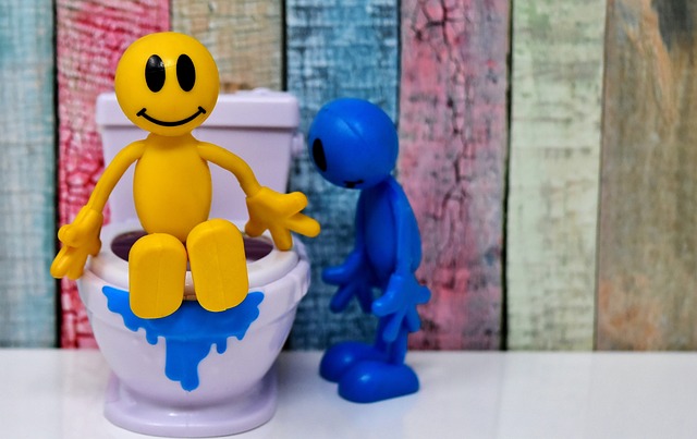 toilet