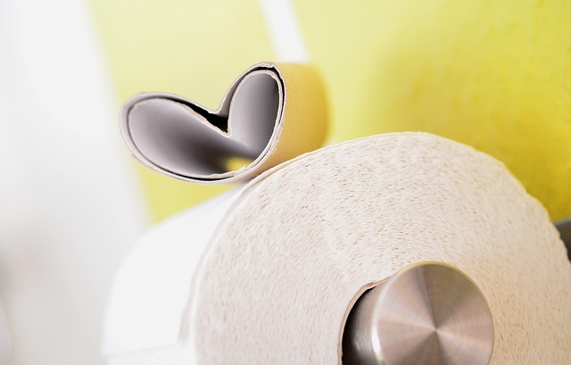toilet