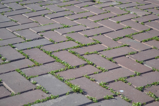 tiles