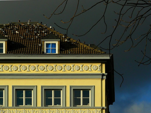 roofing