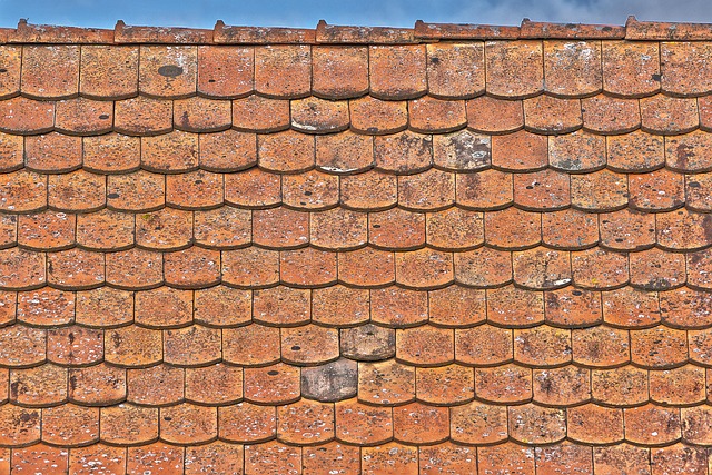 roof leak