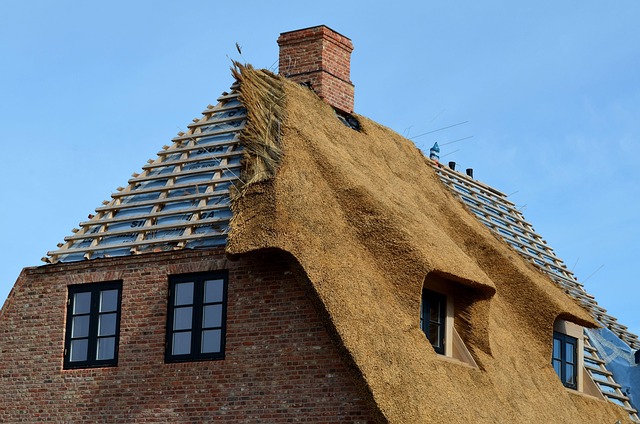 roof repair