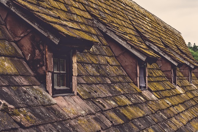 roof