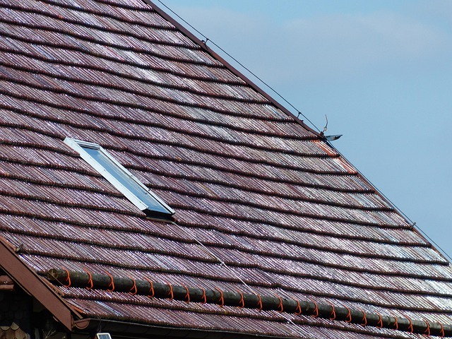 skylight