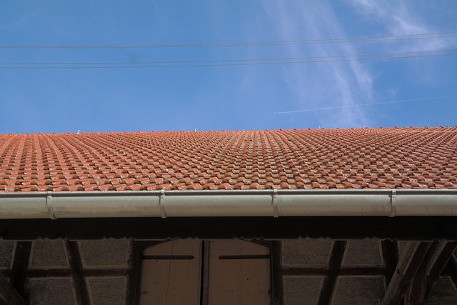 roof-leak