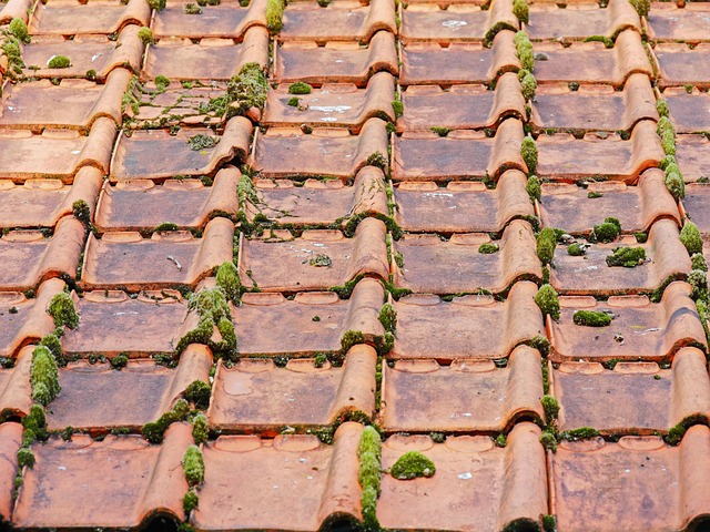 roof-leak