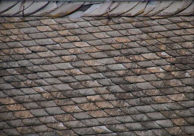 roof