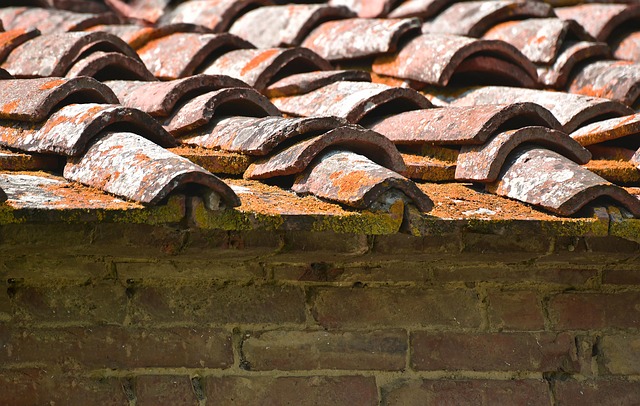 roof leak repair