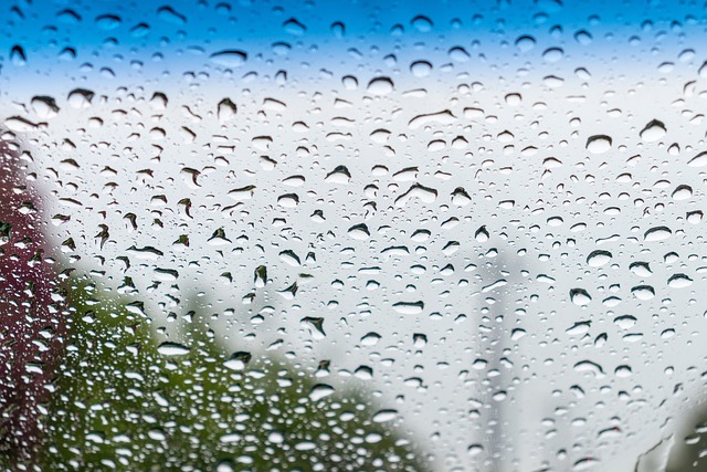 rainy window