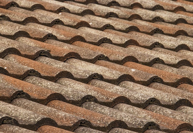 roof maintenance
