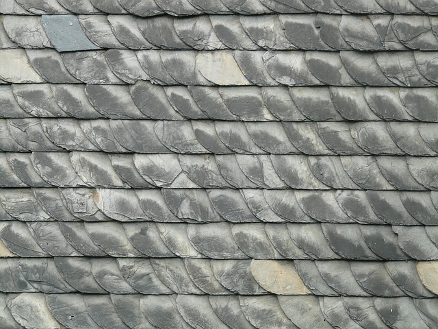 roof-leak