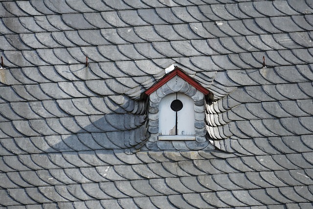 skylight