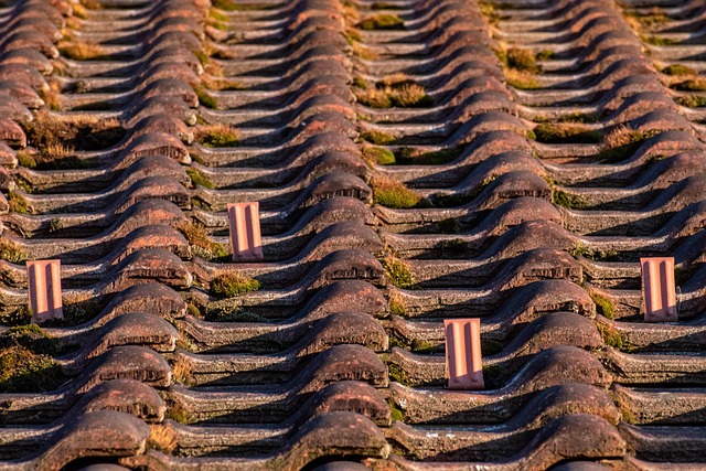 roof leak