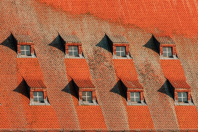 roof leak