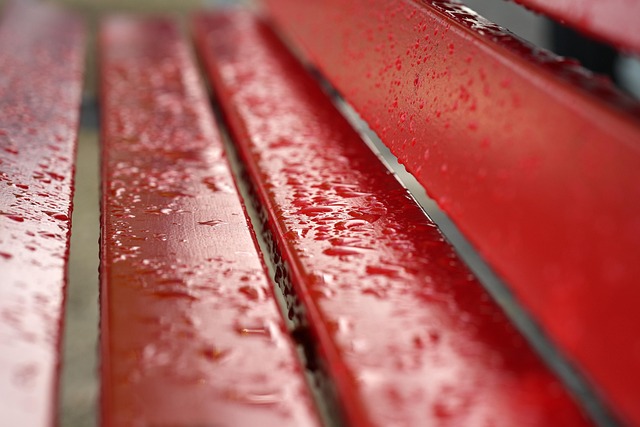 rain damage