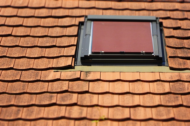 skylight