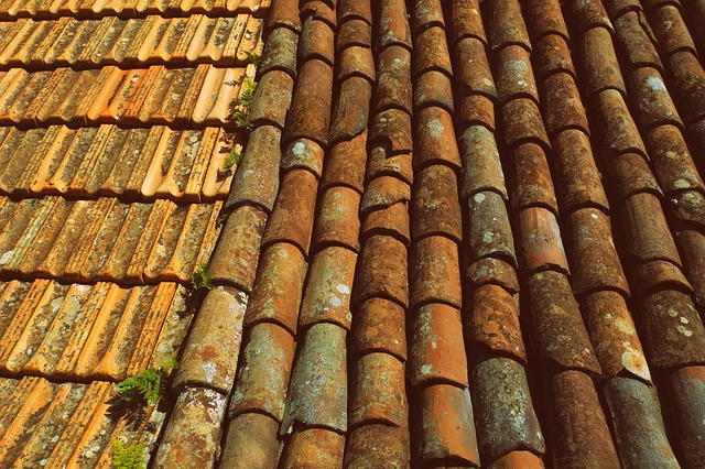 roofing