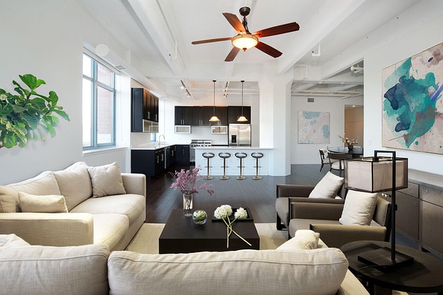 ceiling fan light