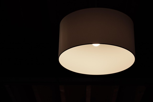 ceiling light
