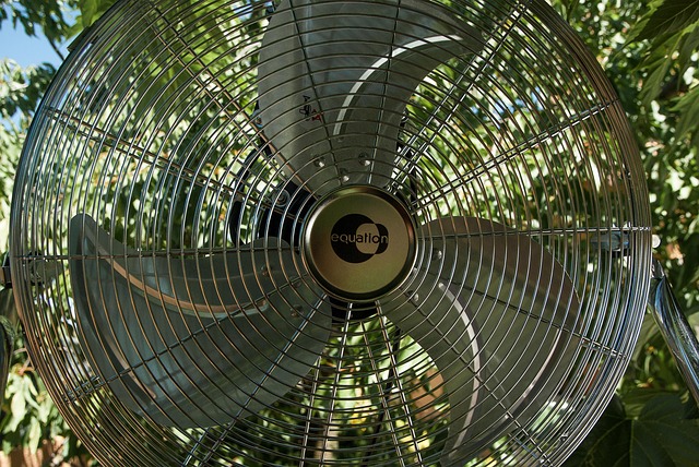 ceiling fan
