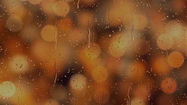 rain leak