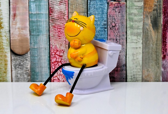 toilet