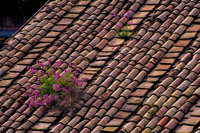 roofing