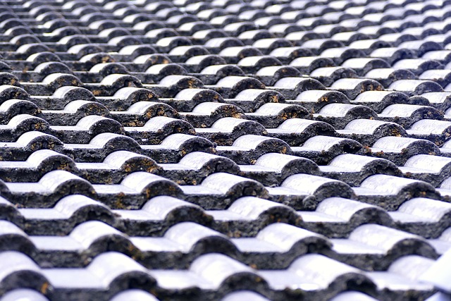 roof repair