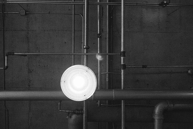 ceiling fan light