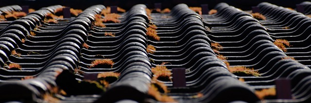 roof repair