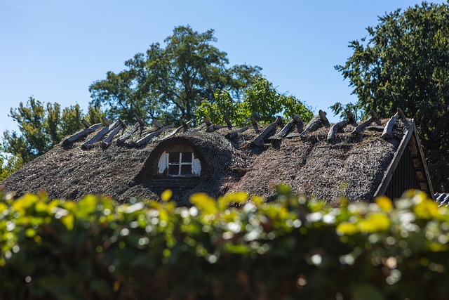 roof repair