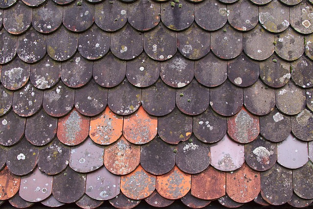 roof leak