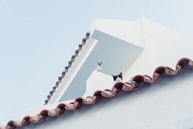 roof repair