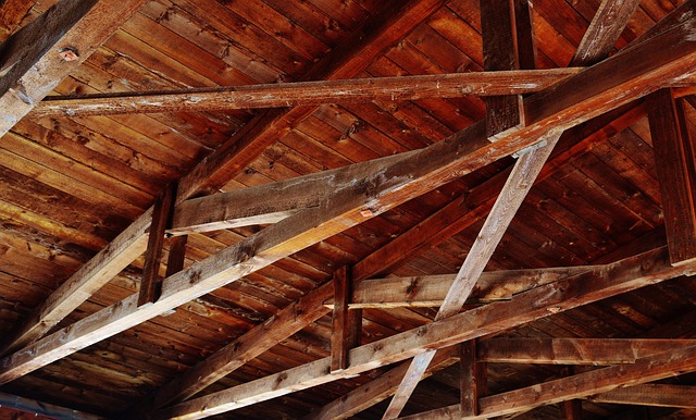 ceiling-light