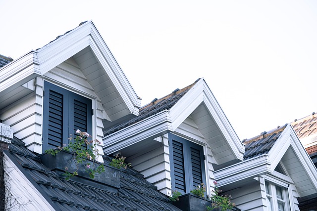 roof repair